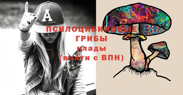 хмурый Киренск