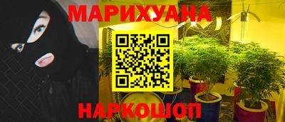 прущие грибы Донской