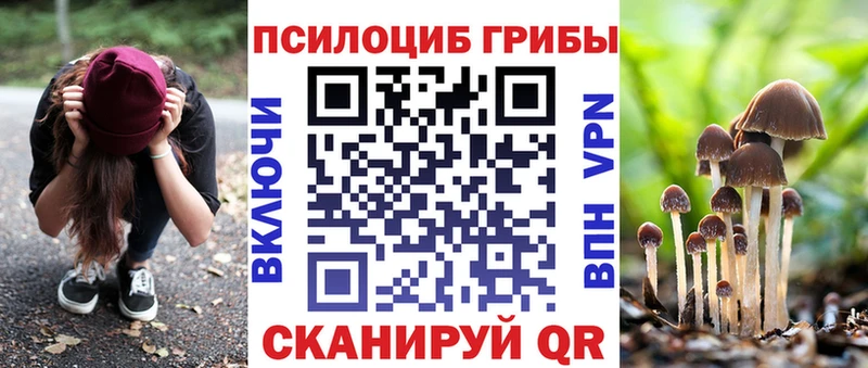 Галлюциногенные грибы Psilocybine cubensis  Зеленокумск 